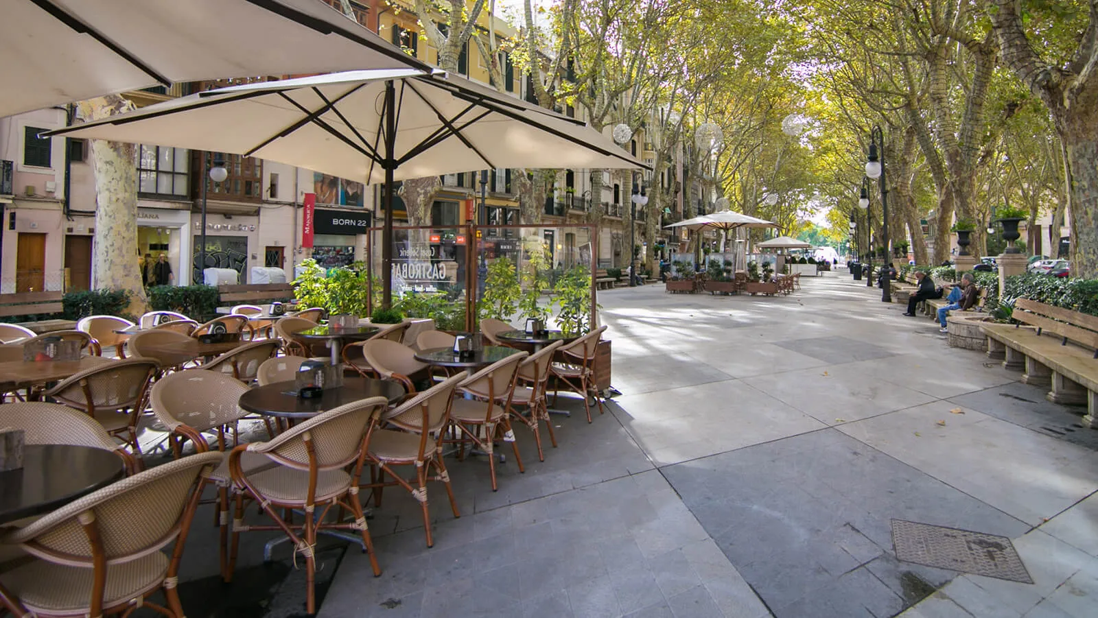 Passeig del Born