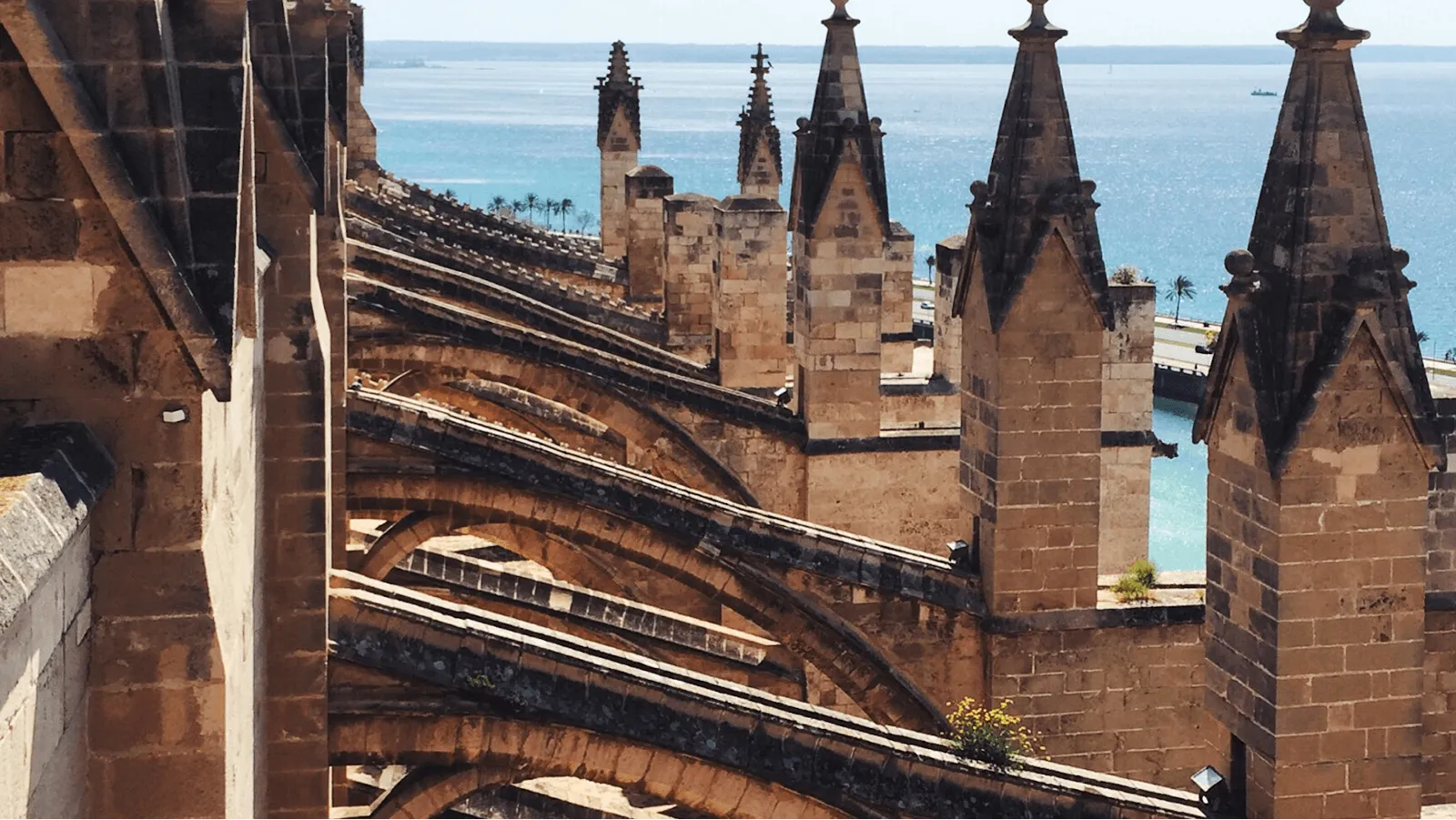 La Seu, Catedral de Palma