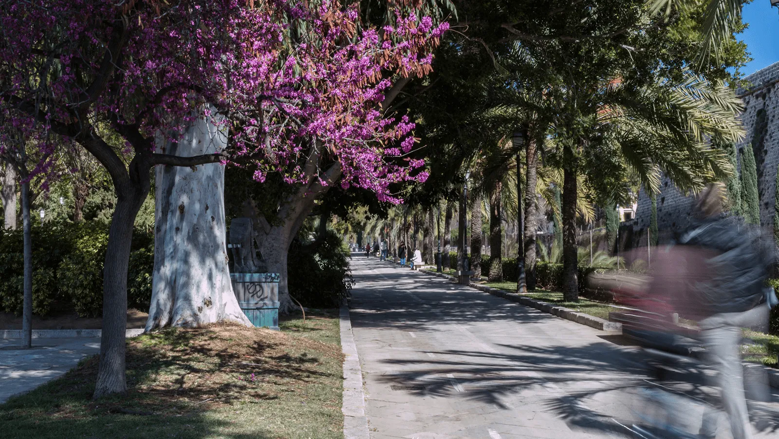 Carril de Bicicleta