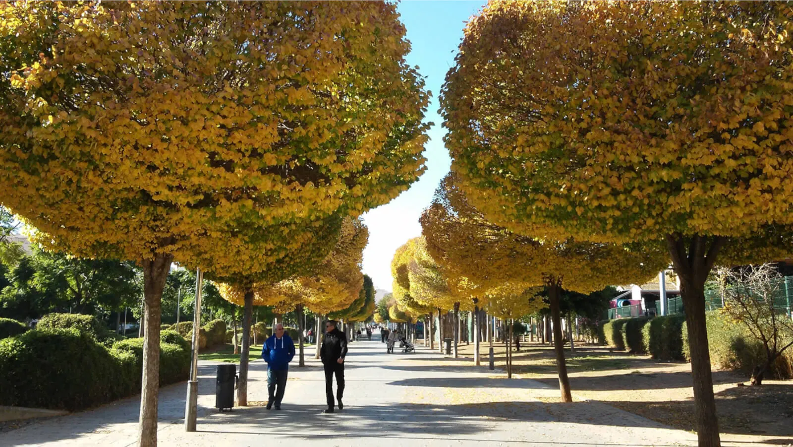 Parc de ses Estacions