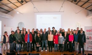 Finaliza la primera fase de SOIB Visibles 2018, programa gracias al cual PalmaActiva contrata 73 personas