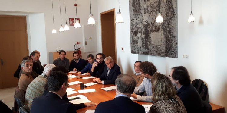 El Consell Municipal del Comerç se reúne en PalmaActiva