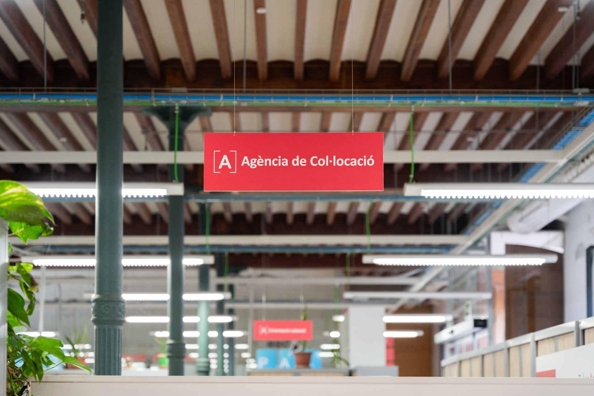 Agència de Col·locació